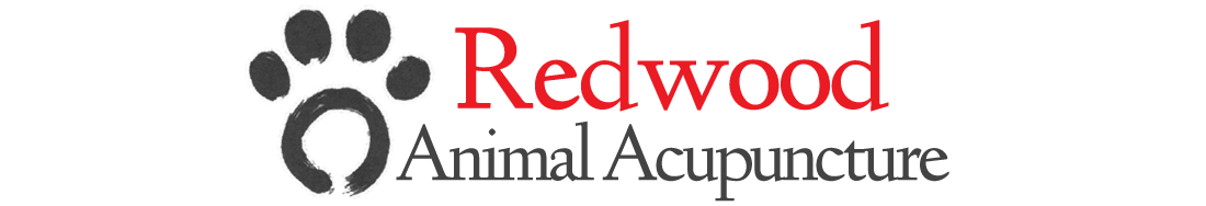 Redwood Animal Acupuncture